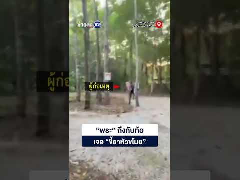 พระถึงกับท้อ เจอ ขี้ยาหัวขโมย thumbnail