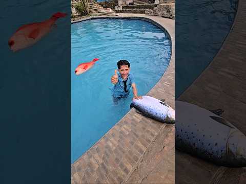 ade balapan nangkep ikan #trandingshorts thumbnail