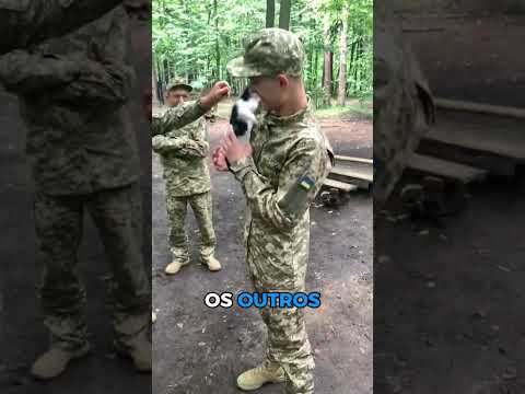 ELES ACHARAM UM GATINHO NA GUERRA ? thumbnail