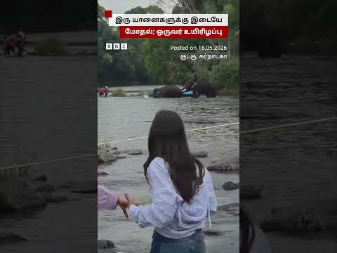 இரு யானைகளுக்கு இடையே மோதல்... ஒருவர் உயிரிழப்பு thumbnail