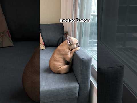 Just Give Me Some Bacon Mom! #thanksgiving #bacon thumbnail