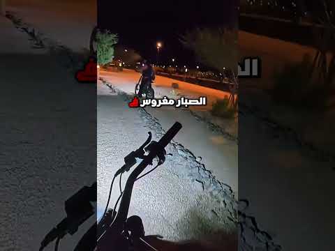 مرّ بجانب الصبّار فدفع الثمن غاليًا! Credit: @JohnCue21/YT thumbnail