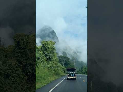 สถานีต่อไป ⛰️🌧️ #fresh #ฝากติดตาม #หมูหมีจัดให้ #nature #เขาสก thumbnail