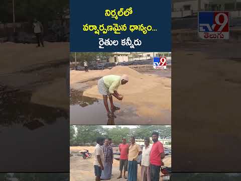 నిర్మల్‌లో వర్షార్పణమైన ధాన్యం... రైతుల కన్నీరు thumbnail