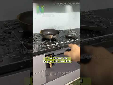 1 chú chuột làm cả gian bếp tan tành thumbnail