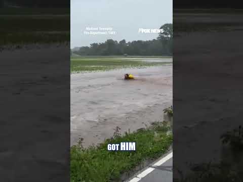 WATCH: A fire captain jumped into rushing floodwaters to save a baby deer thumbnail