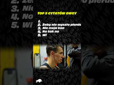 TOP 5 CYTATÓW OWCY thumbnail