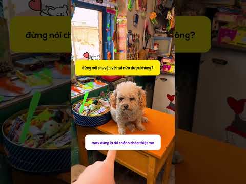 Đòi tiền công cho Boss! thumbnail