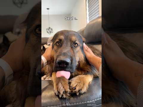 EARS thumbnail