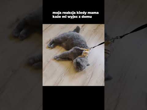 POV: mama każę Ci wyjść z domu thumbnail