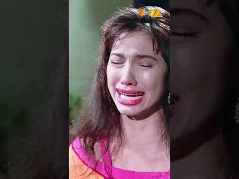 Kabit pala si Nanette Medved dito! #shorts #movieclips #vivafilms thumbnail