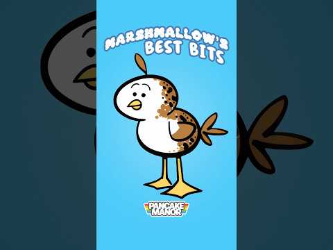 Marshmallow the baby seagull’s best bits from our cartoon!  #kidsvideo #preschool #funny thumbnail