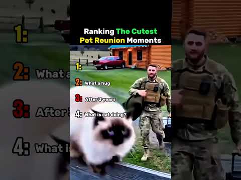 Ranking The Cutest Pet Reunion Moments #dog #cat thumbnail
