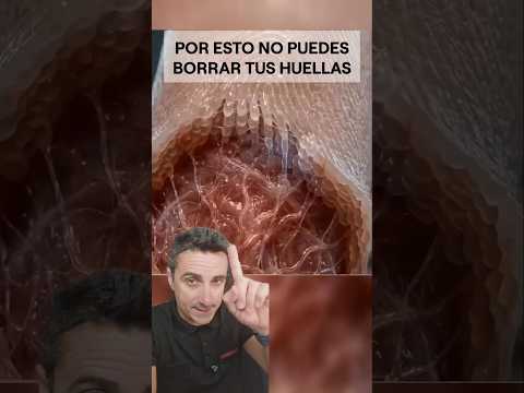 Por esto no puedes borrar tus huellas.#supervivencia #curiosidades #sabiasque thumbnail