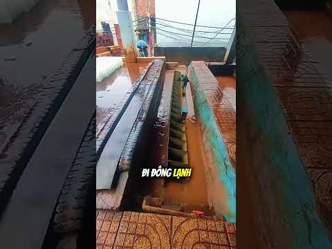 Đừng bao giờ mắc phải sai lầm này khi ăn kem! thumbnail