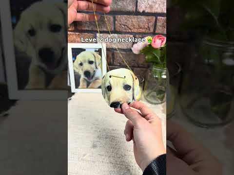 The last one made me cry ?#pets #dogs #dogsoftiktok #giftsideas #dogloss thumbnail