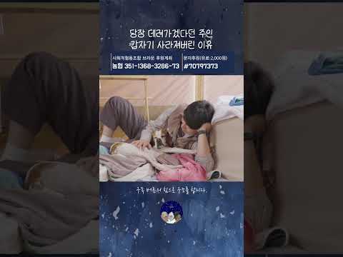 당장 데려가겠다던 주인 갑자기 사라져버린 이유 thumbnail