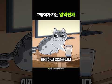 고양이가 하는 영역전개 thumbnail