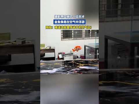 摄影界又来了一位天才，金鱼像是在空气中浮游 thumbnail