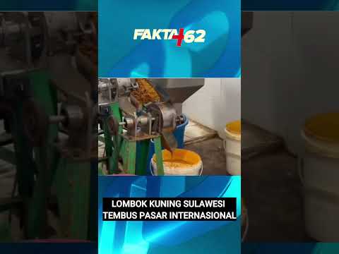 LOMBOK KUNING SULAWESI TEMBUS PASAR INTERNASIONAL thumbnail