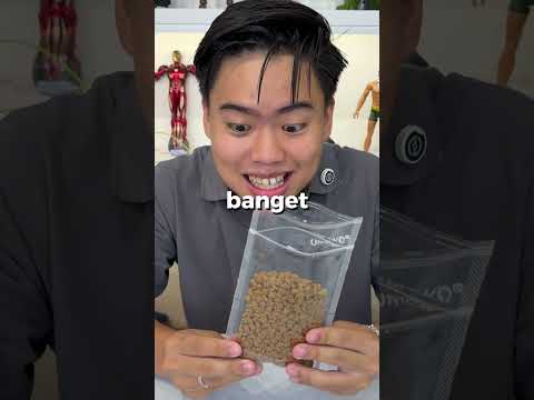 kok bisa salah makan edwin thumbnail