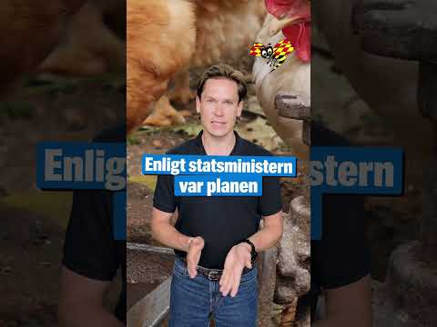 Statsministerparet byggde hönsgård – för skattepengar thumbnail
