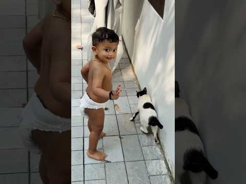 Ambu new pet ? #shorts #trendingonshorts #love thumbnail