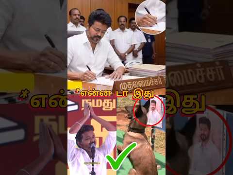 முதலமைச்சர் விஜய் அவர்களுக்காக ஒரு நாய் செய்த தரமான சம்பவம் 😱😱😱 | Vijay |#vijay #cmvijay #shorts thumbnail