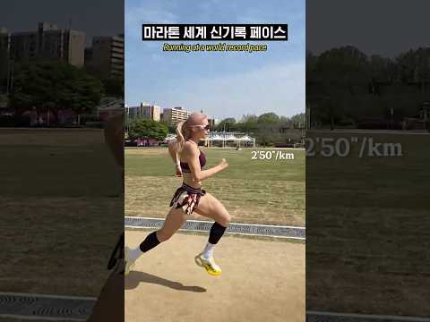 마라톤 세계 신기록 페이스 #shorts thumbnail