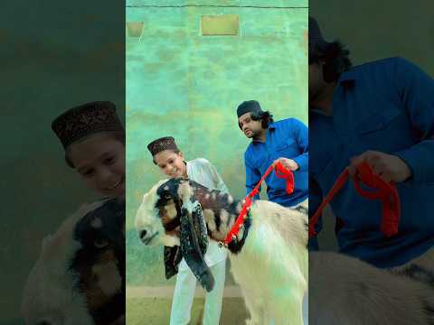 Bolne Wala Bakra😱Bakra No.1 #bakra #bakraeid #eid #shorts thumbnail