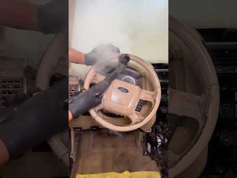 Deep Cleaning the DIRTIEST Steering Wheel! thumbnail