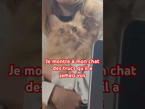 Le trauma d’une génération entière thumbnail