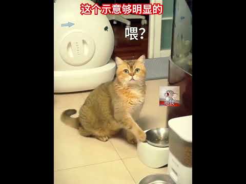 这个示意够明显 #cat thumbnail