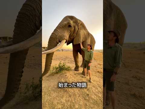 プラスチックの歴史 thumbnail