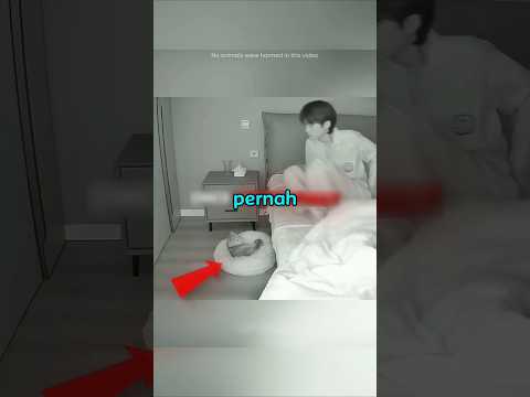 Sepatu Kucing Berujung Kacau😭 thumbnail