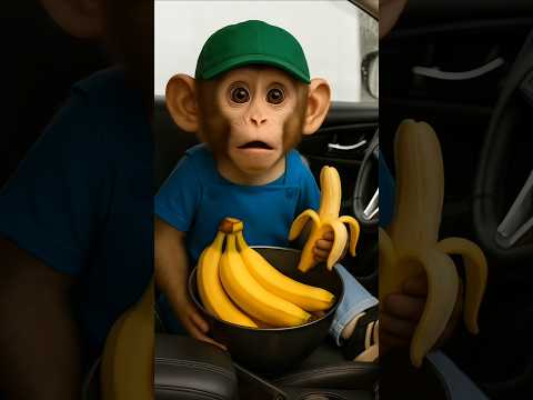 Didn’t Expect to See a Monkey Driving 😂🐵🚗 thumbnail