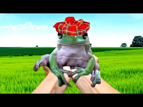 frogge has one week left thumbnail