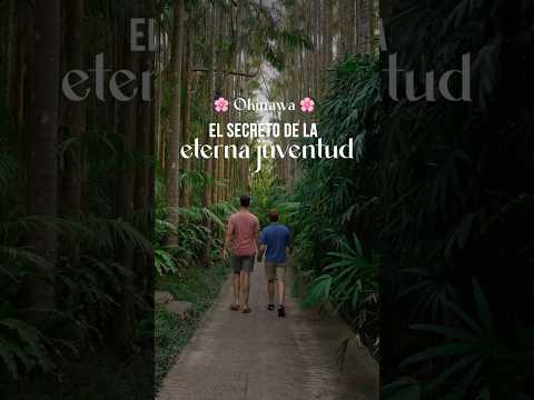 ¿Quieres vivir más años? Aquí está el secreto 👀 thumbnail
