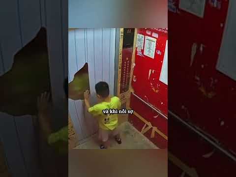 Cậu bé bình tĩnh khi bị kẹt trong thang máy 👏 thumbnail
