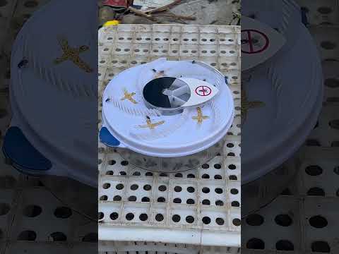 ▶️ Automatic Electric Insect Flycatcher — Best Indoor Bug Trap & Fly Catcher 2026 ( # 3137 ) thumbnail