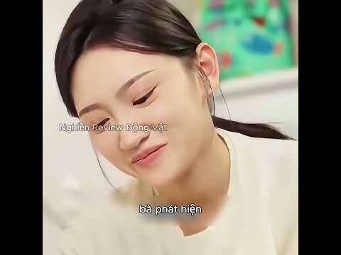 Bí mật ẩn giấu bên trong con búp bê. thumbnail