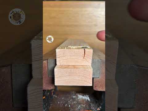 The Maddest Tip Ever thumbnail