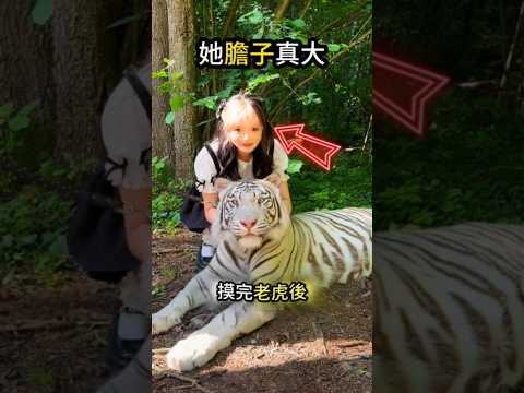 小貓態度的改變?是來自心底的敬佩? thumbnail