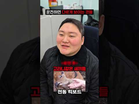 운전하면 다르게 보이는것들ㅋㅋㅋ thumbnail
