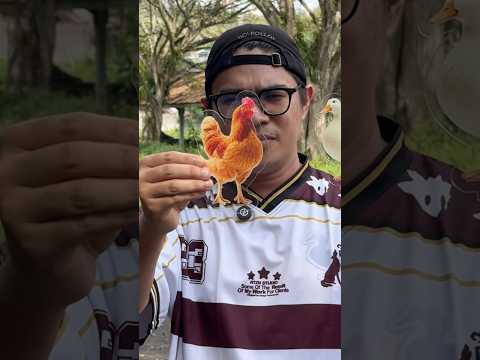 Kalian pilih ayam atau bebek? thumbnail