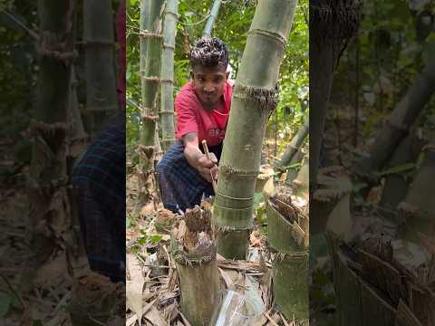 Amazing Bamboo Glass Making with Wire | Eco-Friendly Luxury Design #shorts thumbnail