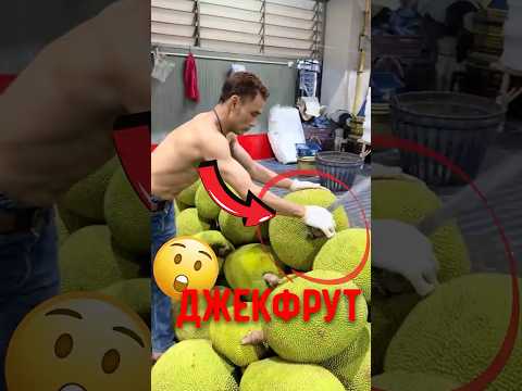 🍈 Почему джекфрут так трудно разрезать! #джекфрут #экзотическиефрукты #фрукты thumbnail