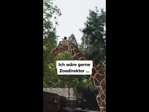 Das würde ich aus Zoos machen ? thumbnail