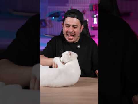 Kedi Isırığı Sorunu Çözdüm thumbnail