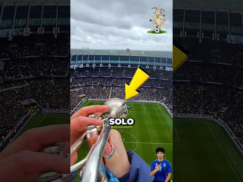 Chi è l'UOMO MISTERIOSO che sta sempre SOPRA lo STADIO? thumbnail